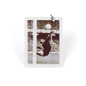 Le célèbre gardien de but en pleine parade