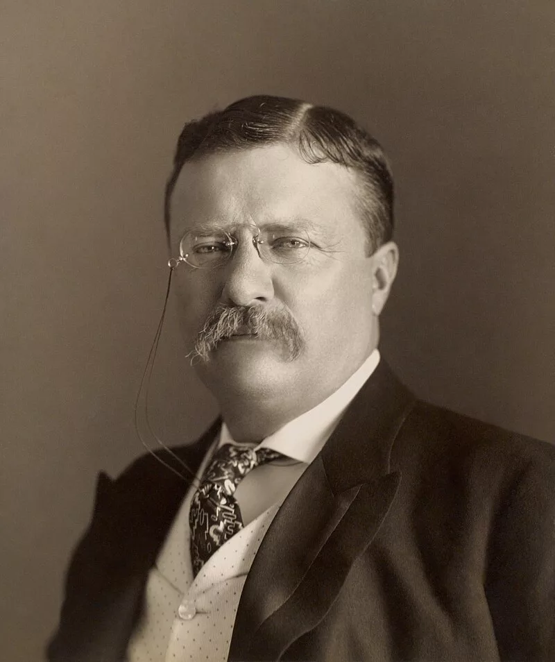 Portrait de Theodore Roosevelt