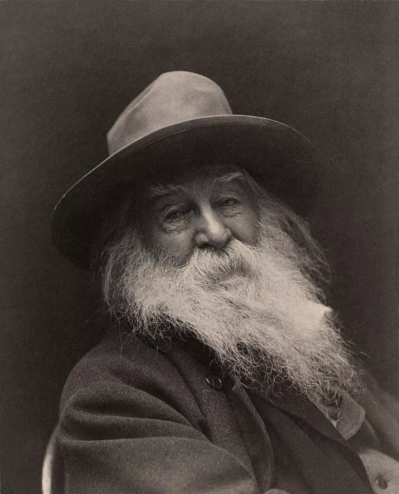 Portrait de Walt Whitman